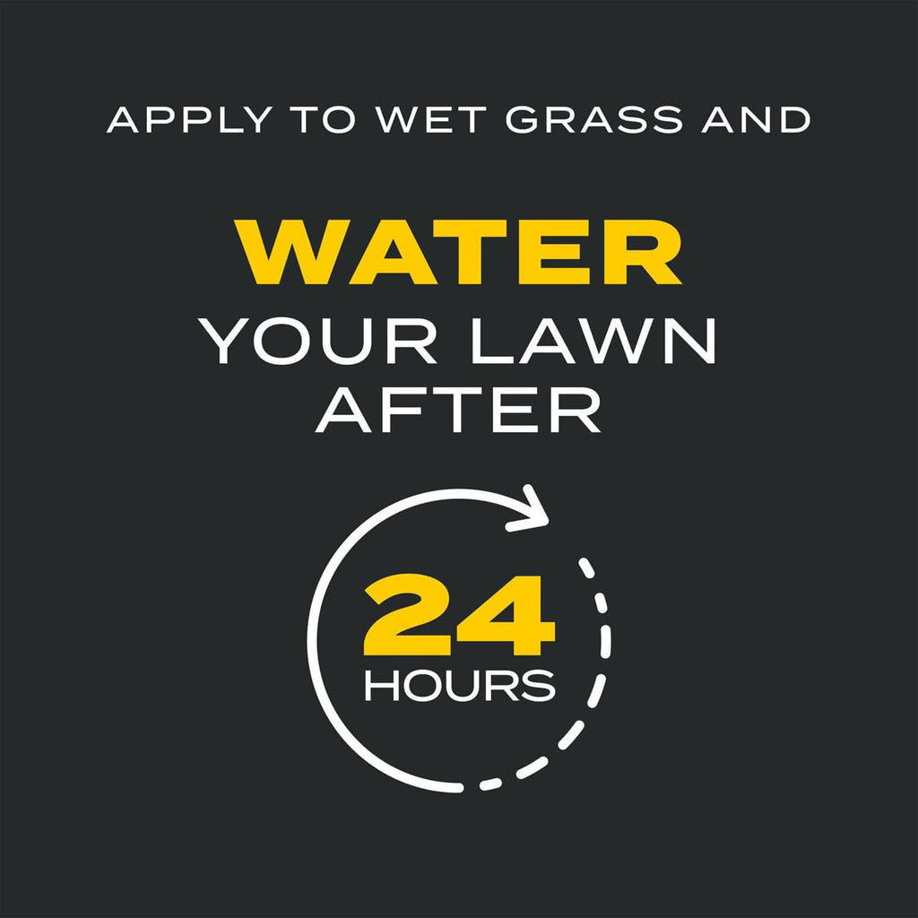 11.31 lb. Turf Builder Q373788