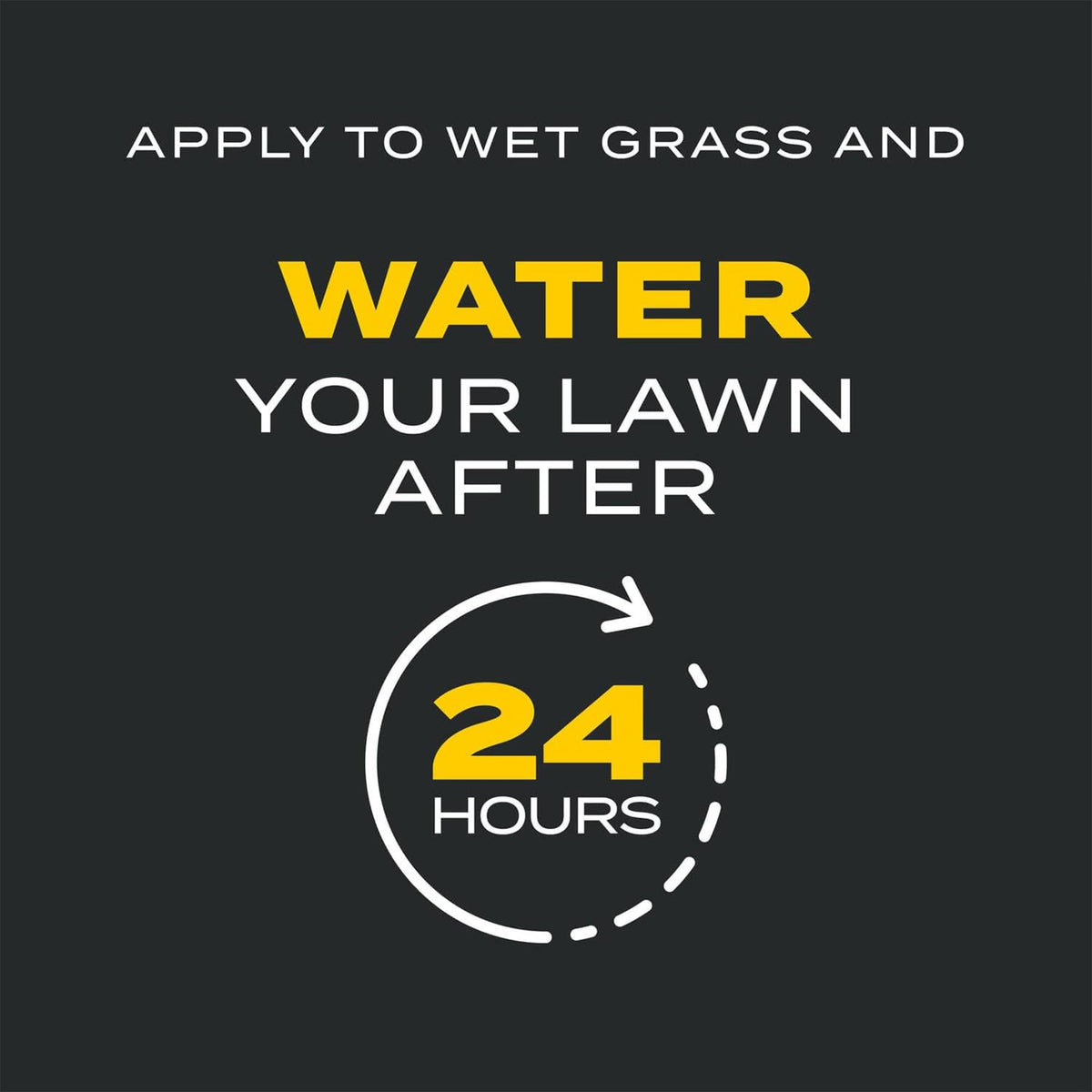 11.31 lb. Turf Builder Q373788