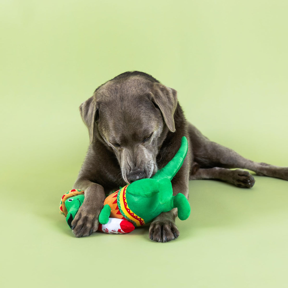 Plush Dog Toy X525