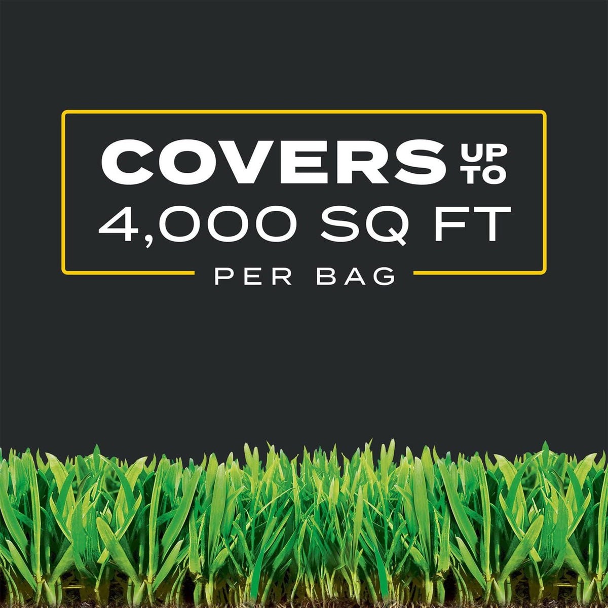 11.31 lb. Turf Builder Q373788