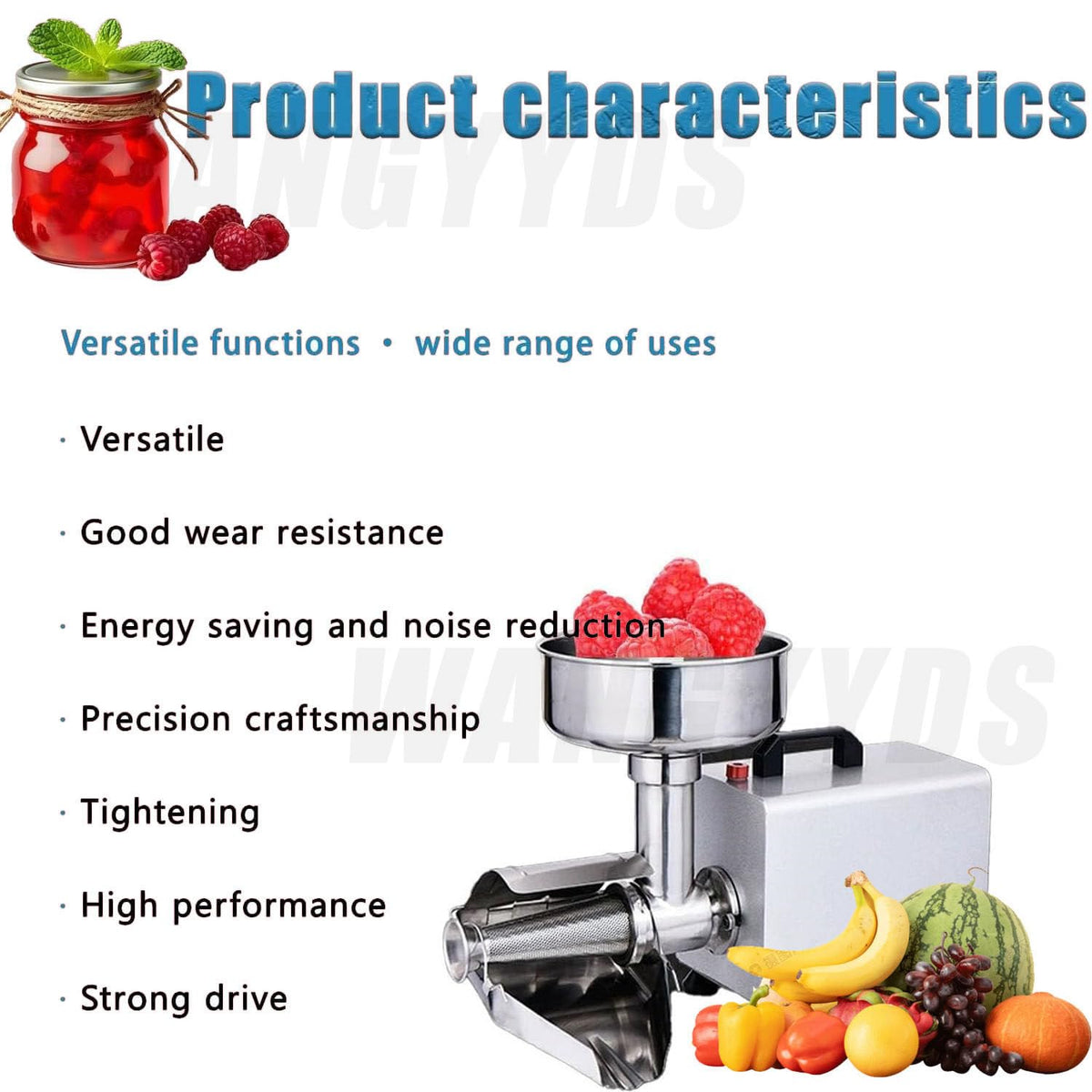 450W Stainless Steel Electric Tomato Strainer C6619