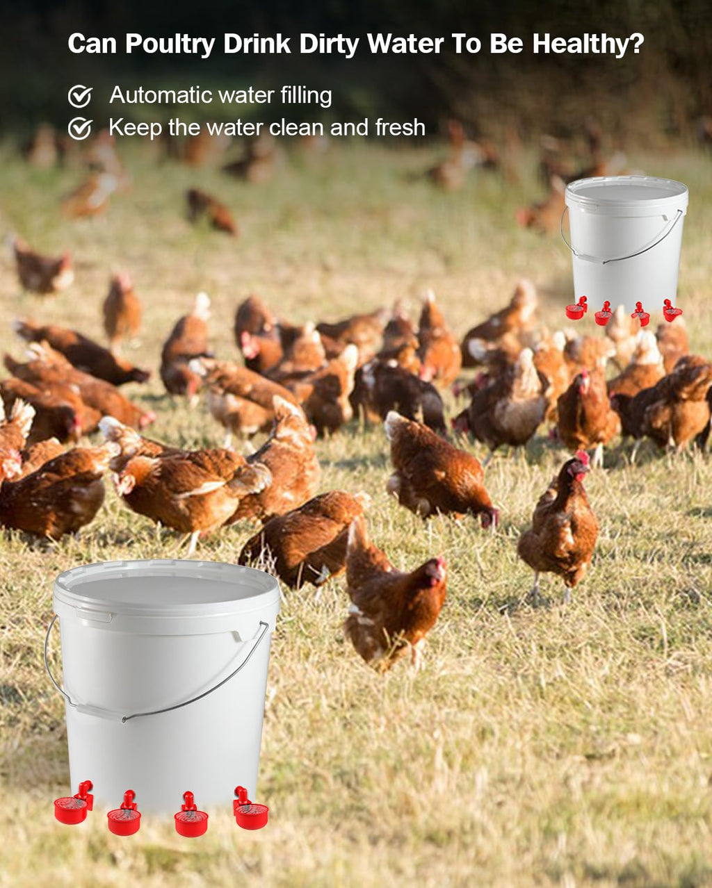 30 Packs Large Automatic Poultry Water Feeder Cups with Tee Fittings J843