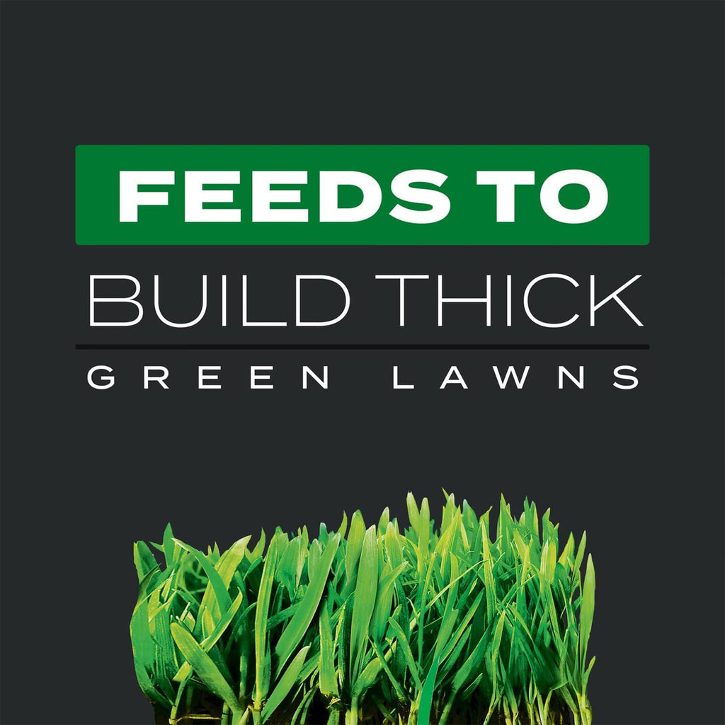 11.31 lb. Turf Builder Q373788