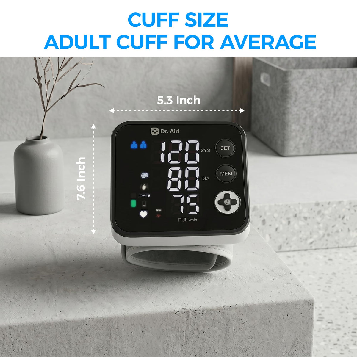 Wrist Blood Pressure Monitor R356