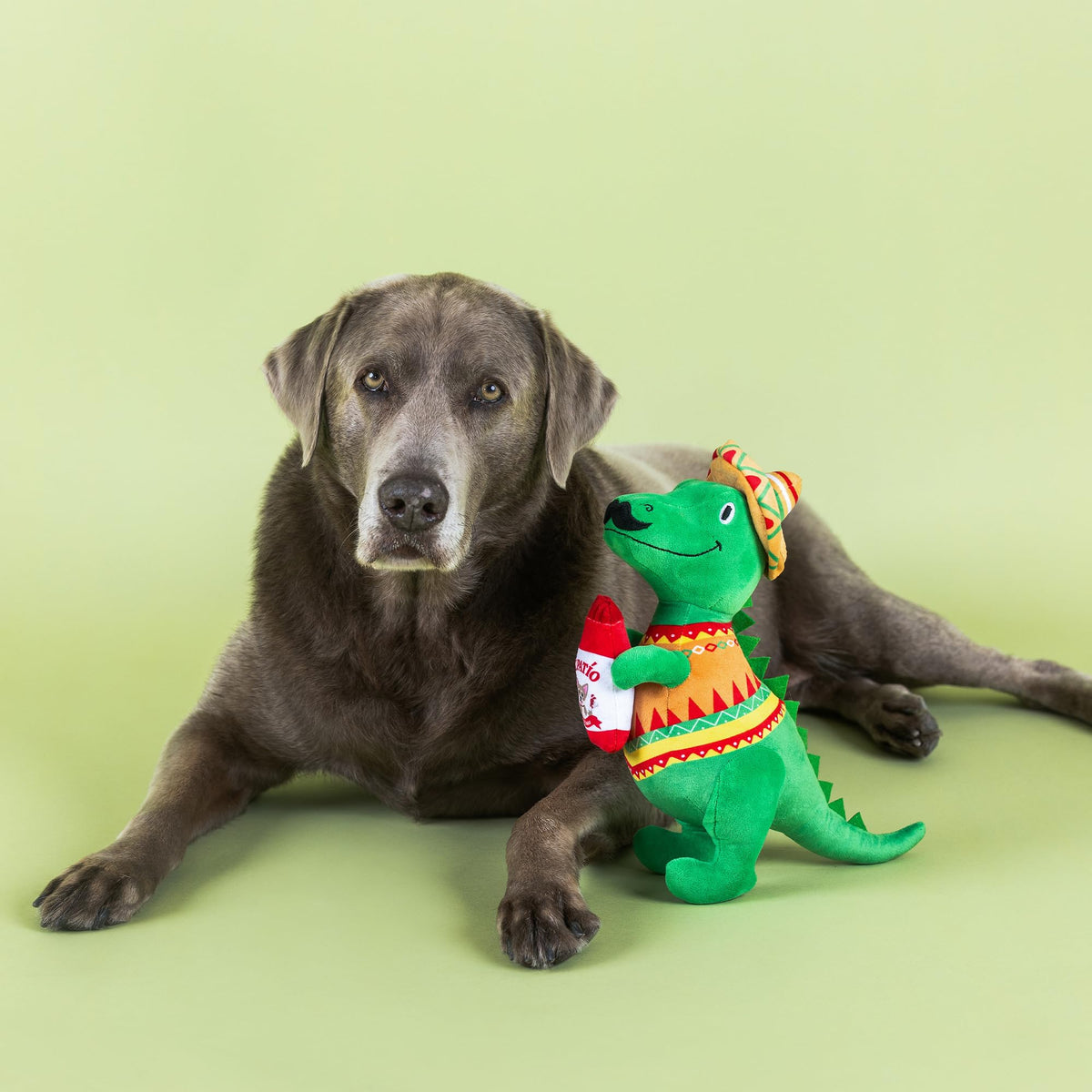 Plush Dog Toy X525
