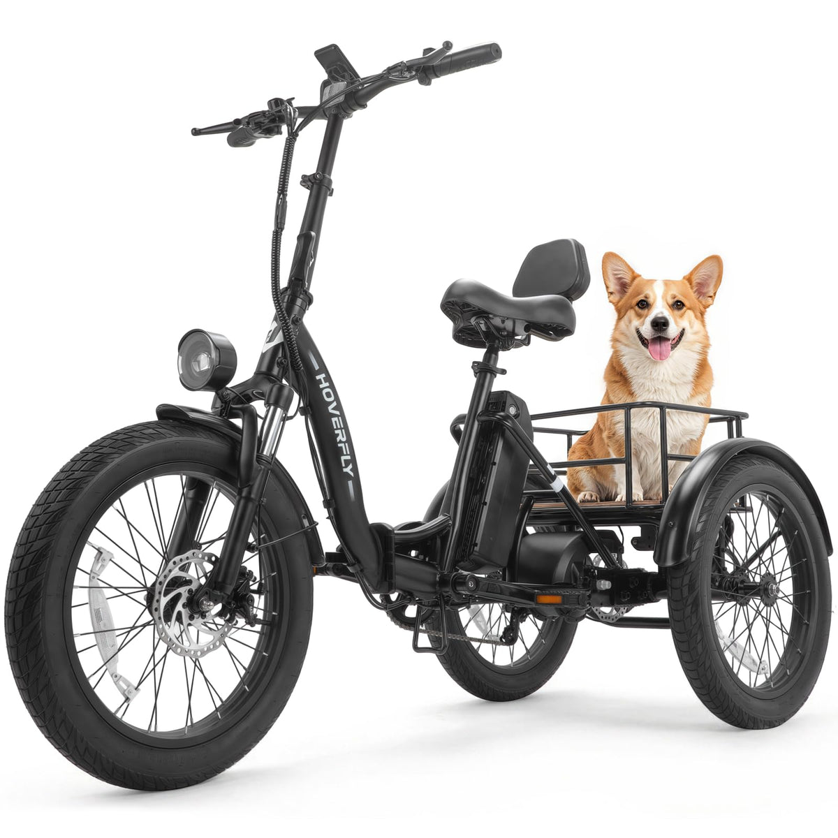 Electric Tricycle for Adults 750W Peak Motor 20"x3" Fat Tire Q3743