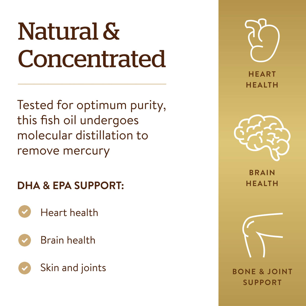 Omega-3 Fish Oil Concentrate 240 Softgels E97317