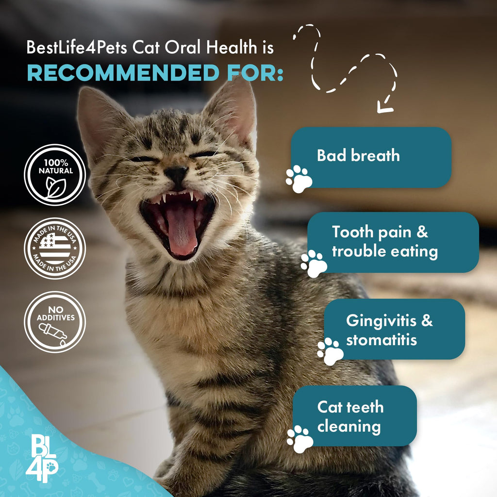 Cat Dental Care Supplement 400 Pills S399530