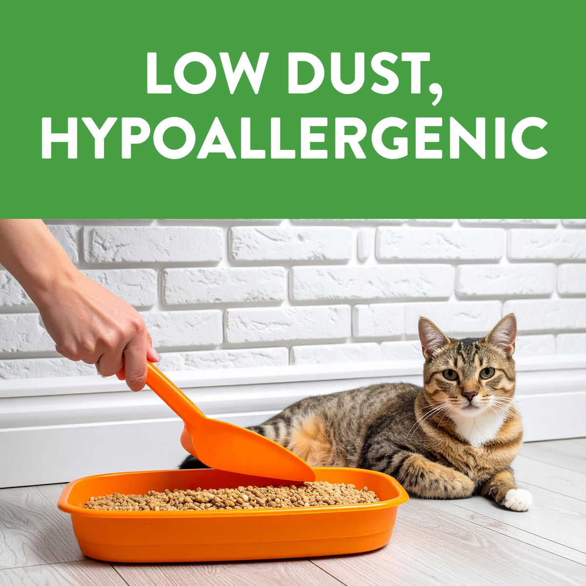 Non-Clumping Cat Litter 17lb W52764