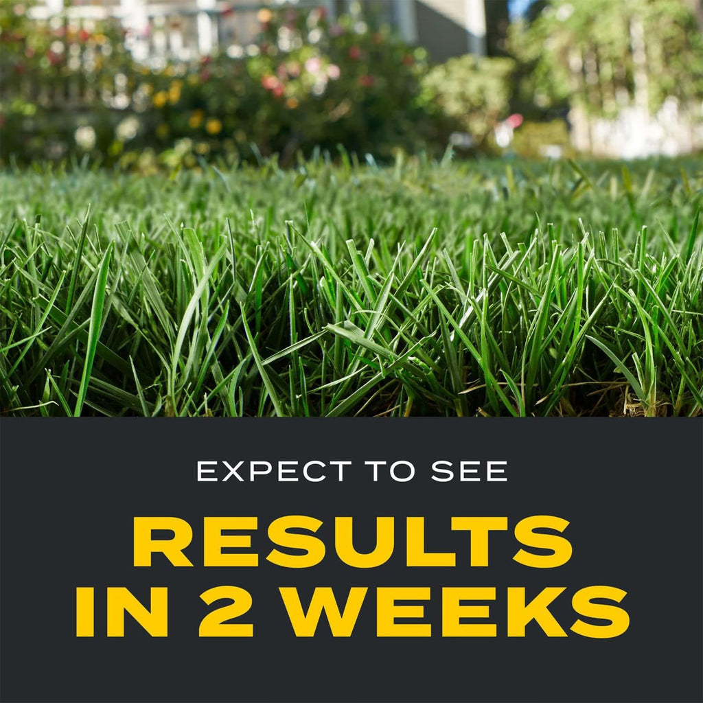 11.31 lb. Turf Builder Q373788