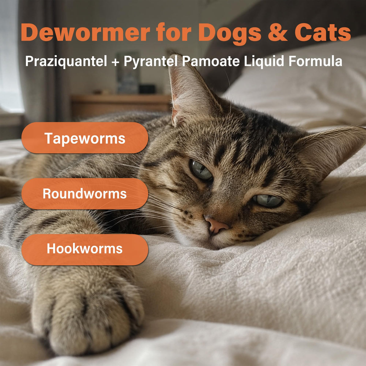 Dewormer for Dogs and Cats 3.38 fl oz Y705