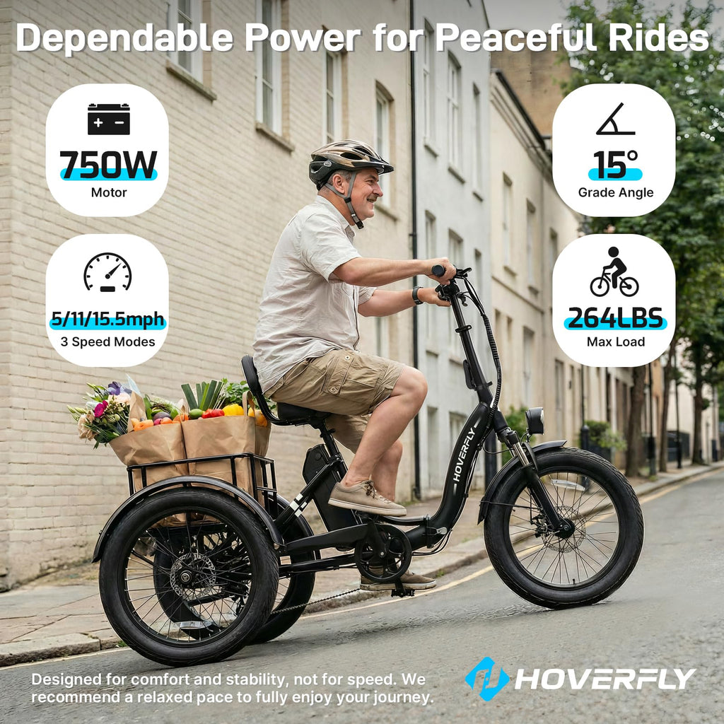 Electric Tricycle for Adults 750W Peak Motor 20"x3" Fat Tire Q3743