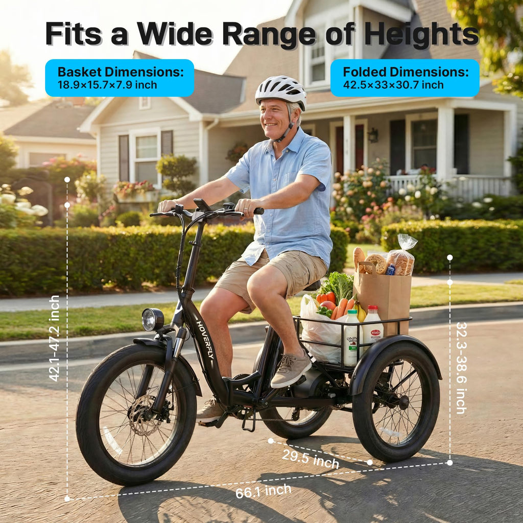 Electric Tricycle for Adults 750W Peak Motor 20"x3" Fat Tire Q3743