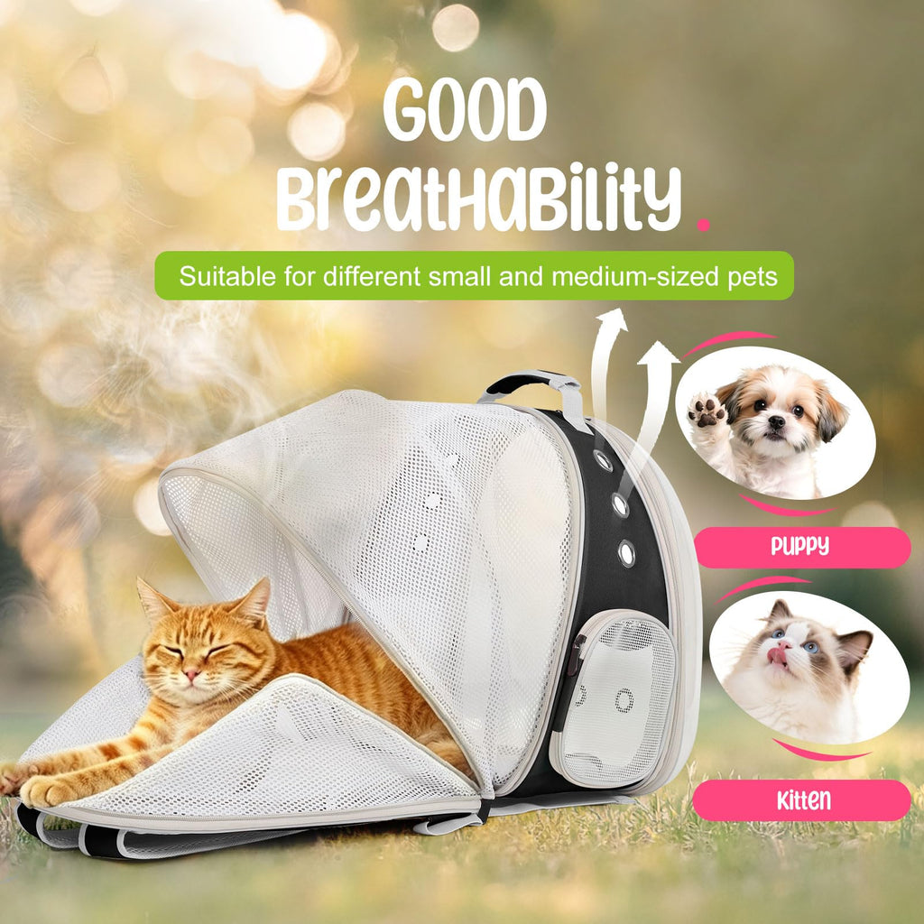 Large Cat Backpack Carrier O207106