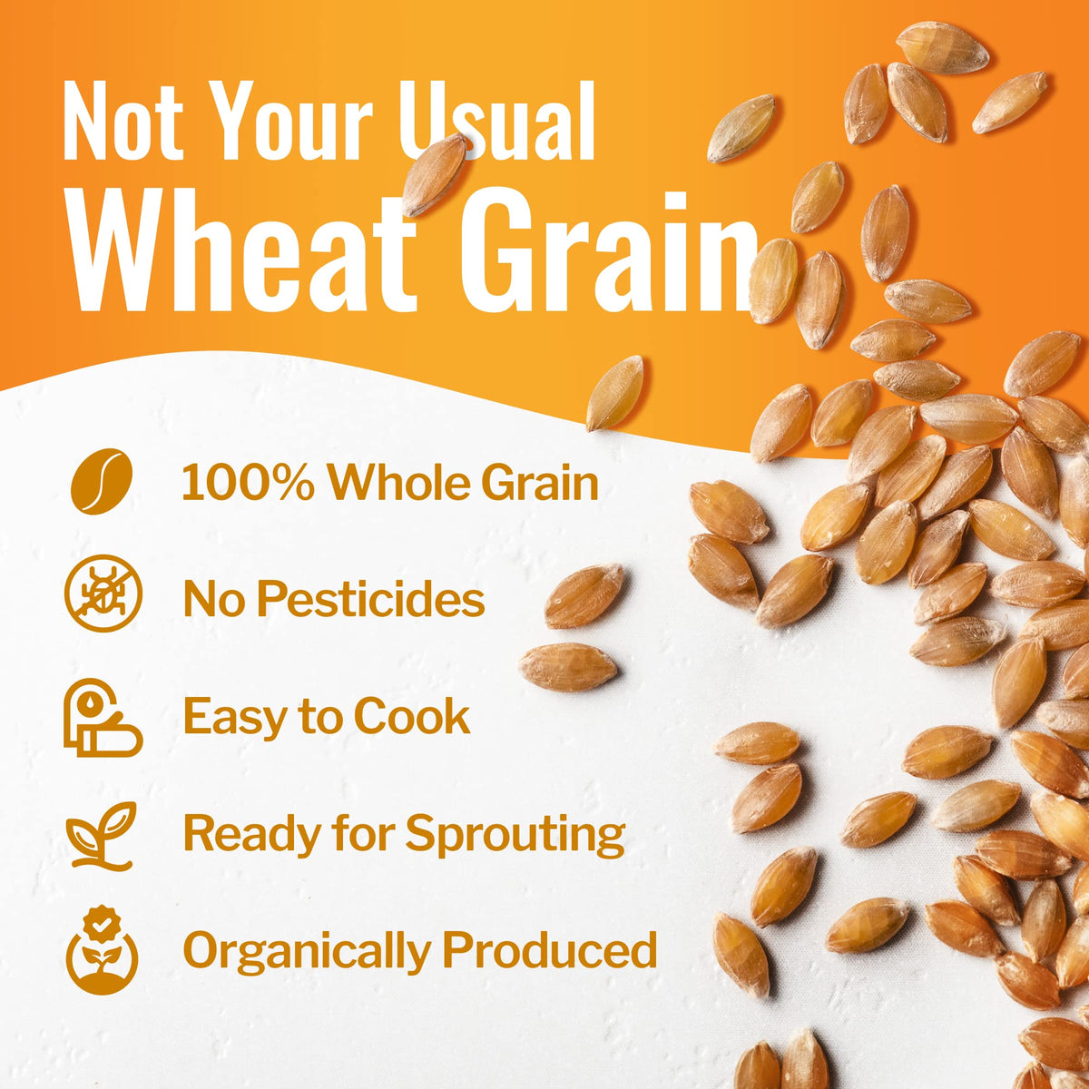 100% Organic Hard White Wheat Berries 43 lbs F325479