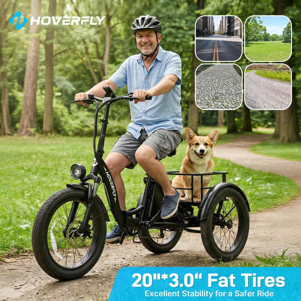 Electric Tricycle for Adults 750W Peak Motor 20"x3" Fat Tire Q3743