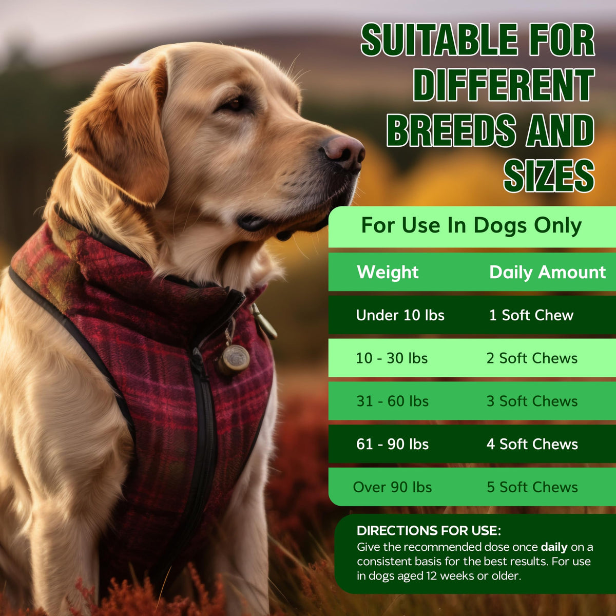 Flea and Tick Chewables for Dogs Chicken 120 Soft Treats S813