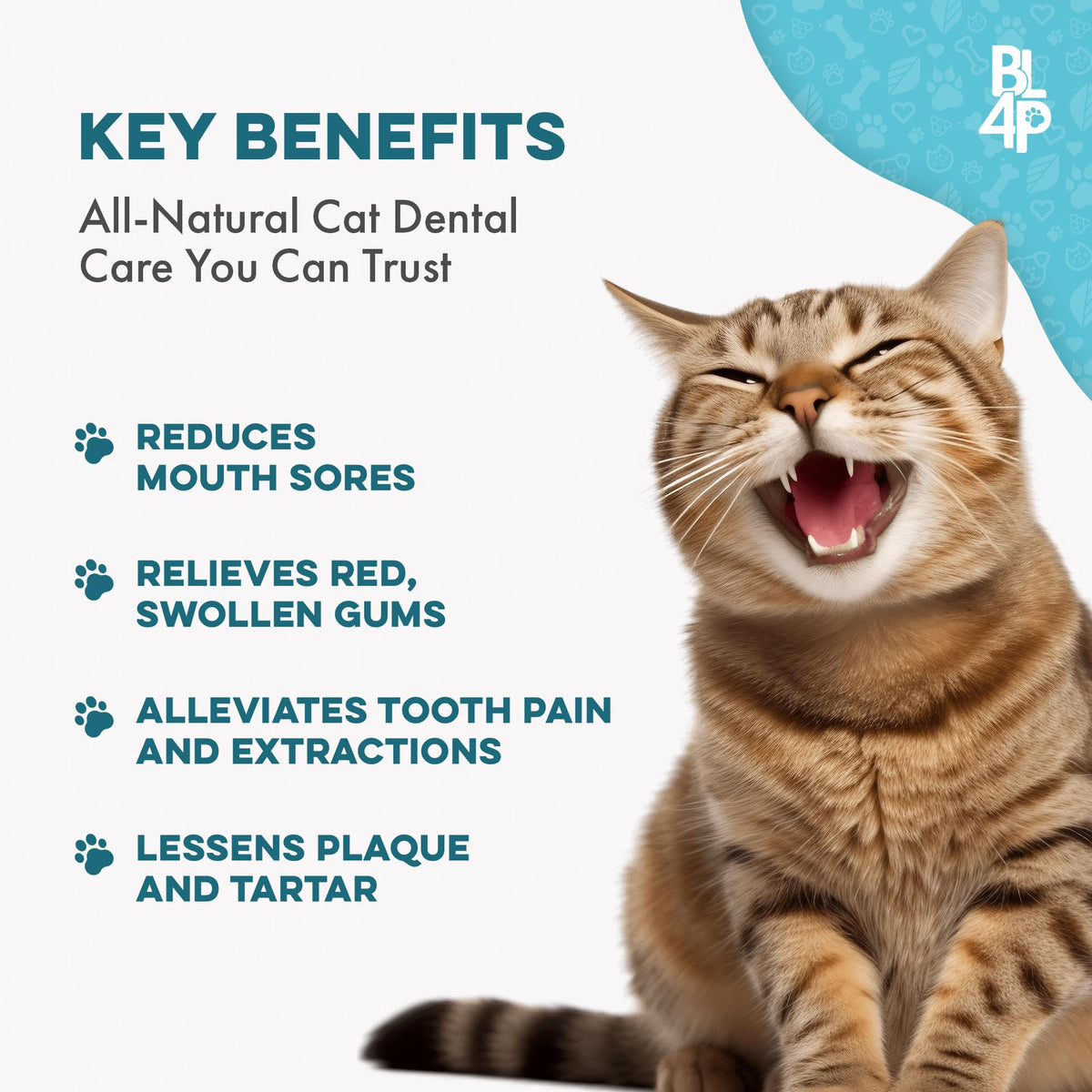 Cat Dental Care Supplement 400 Pills S399530