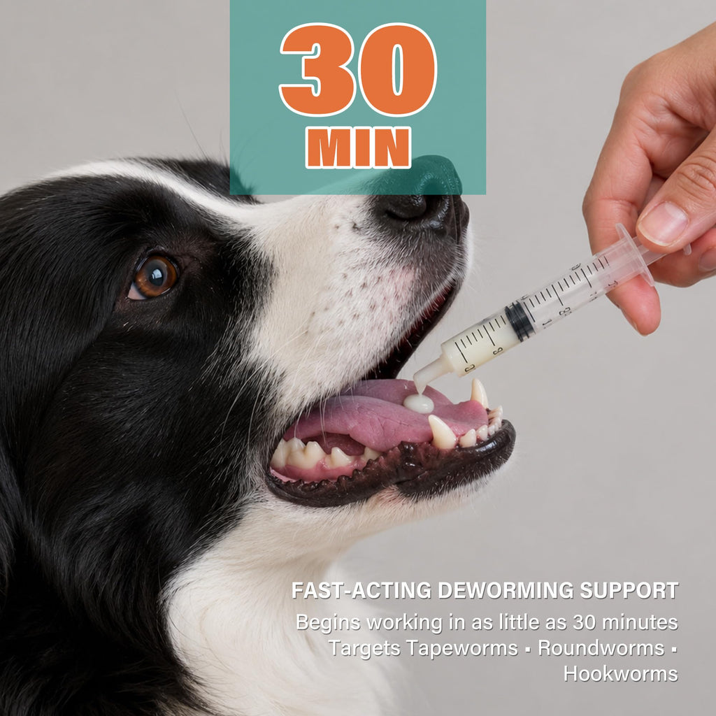 Dewormer for Dogs and Cats 3.38 fl oz Y705