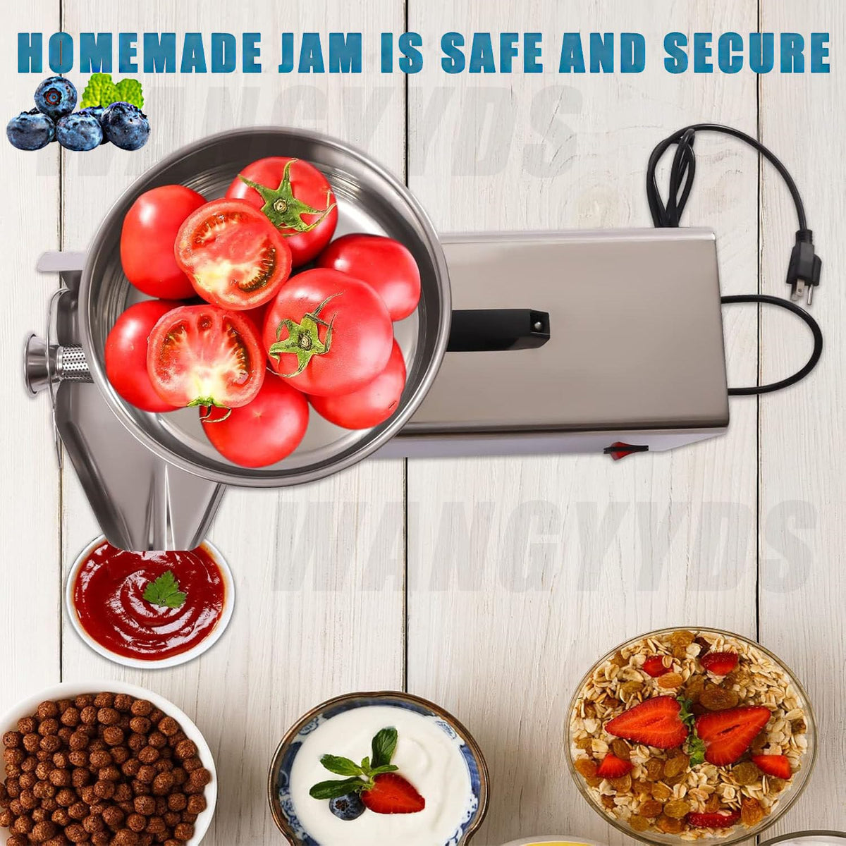 450W Stainless Steel Electric Tomato Strainer C6619