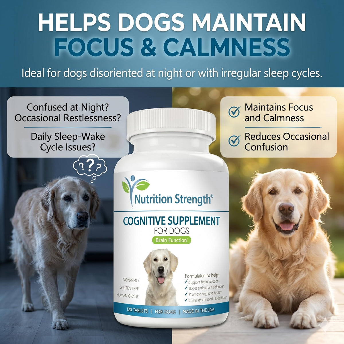 120 Chewable Tablets Cognitive Support Dog Supplement S626651