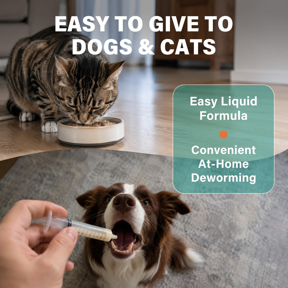 Dewormer for Dogs and Cats 3.38 fl oz Y705