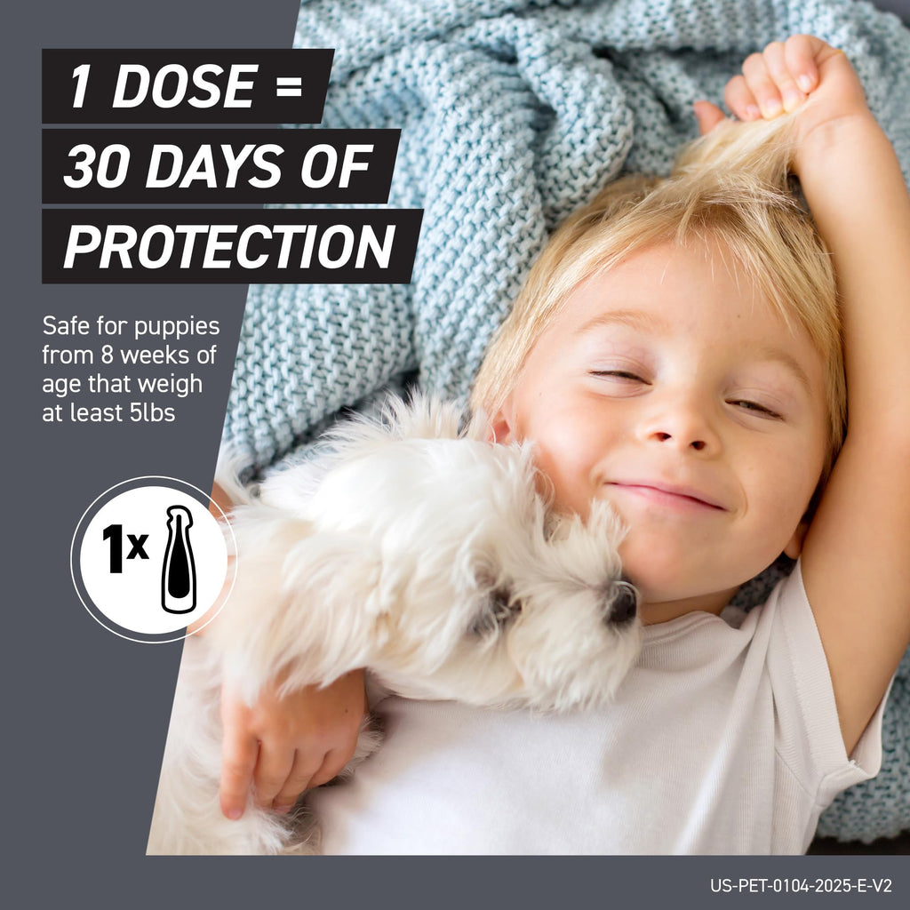 Flea & Tick Treatment for X-Small Dogs 5-10 lbs. Count of 3 S9939