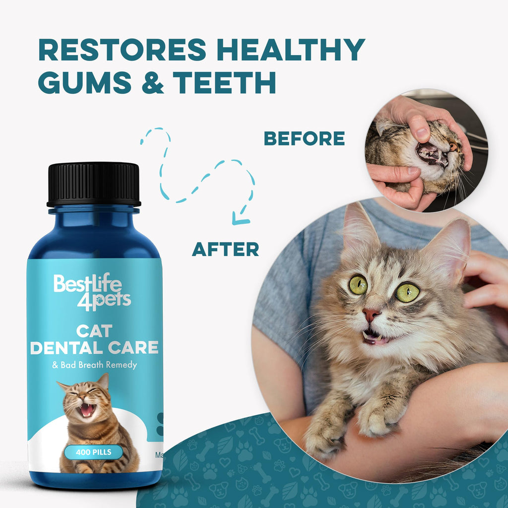 Cat Dental Care Supplement 400 Pills S399530