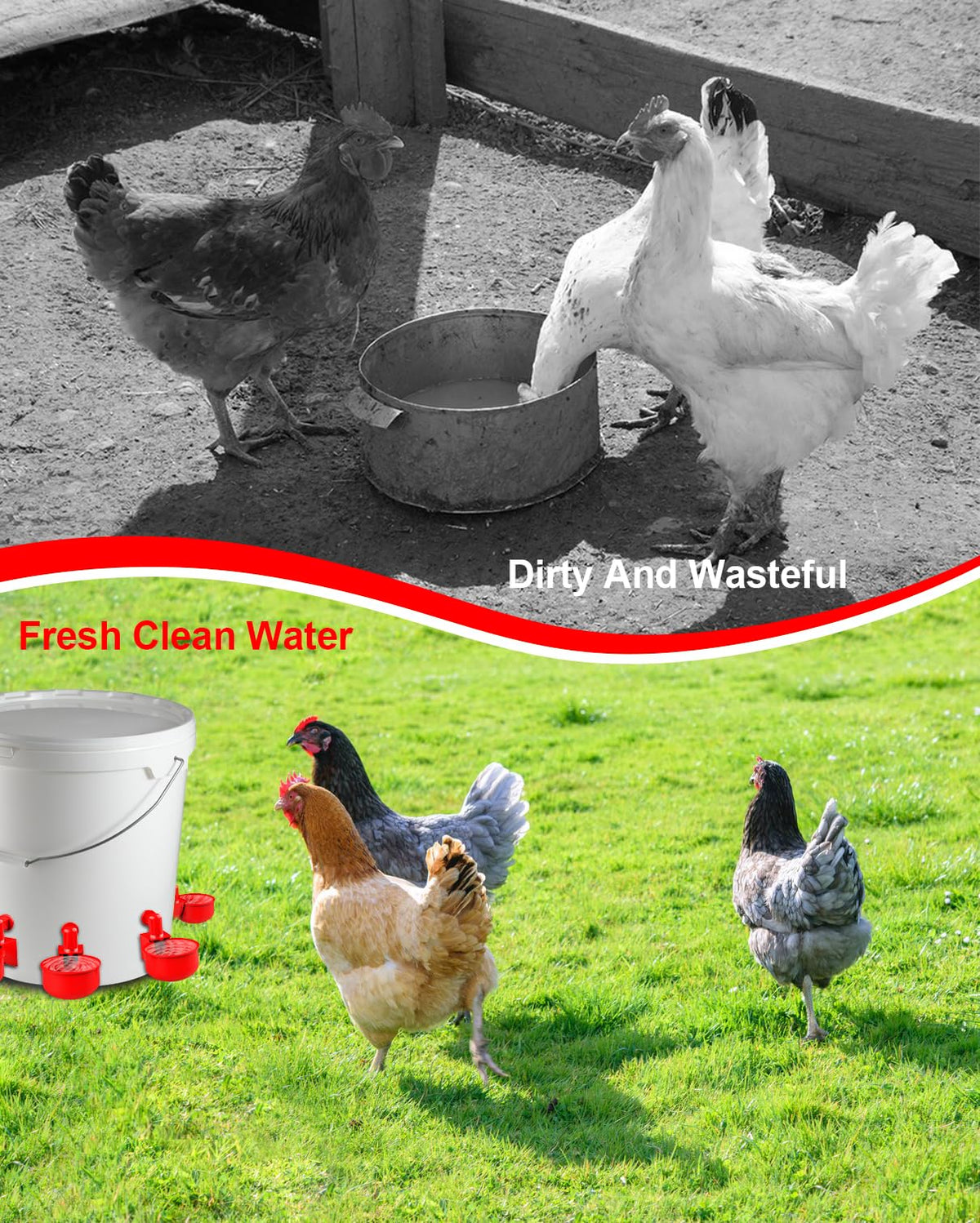 30 Packs Large Automatic Poultry Water Feeder Cups with Tee Fittings J843