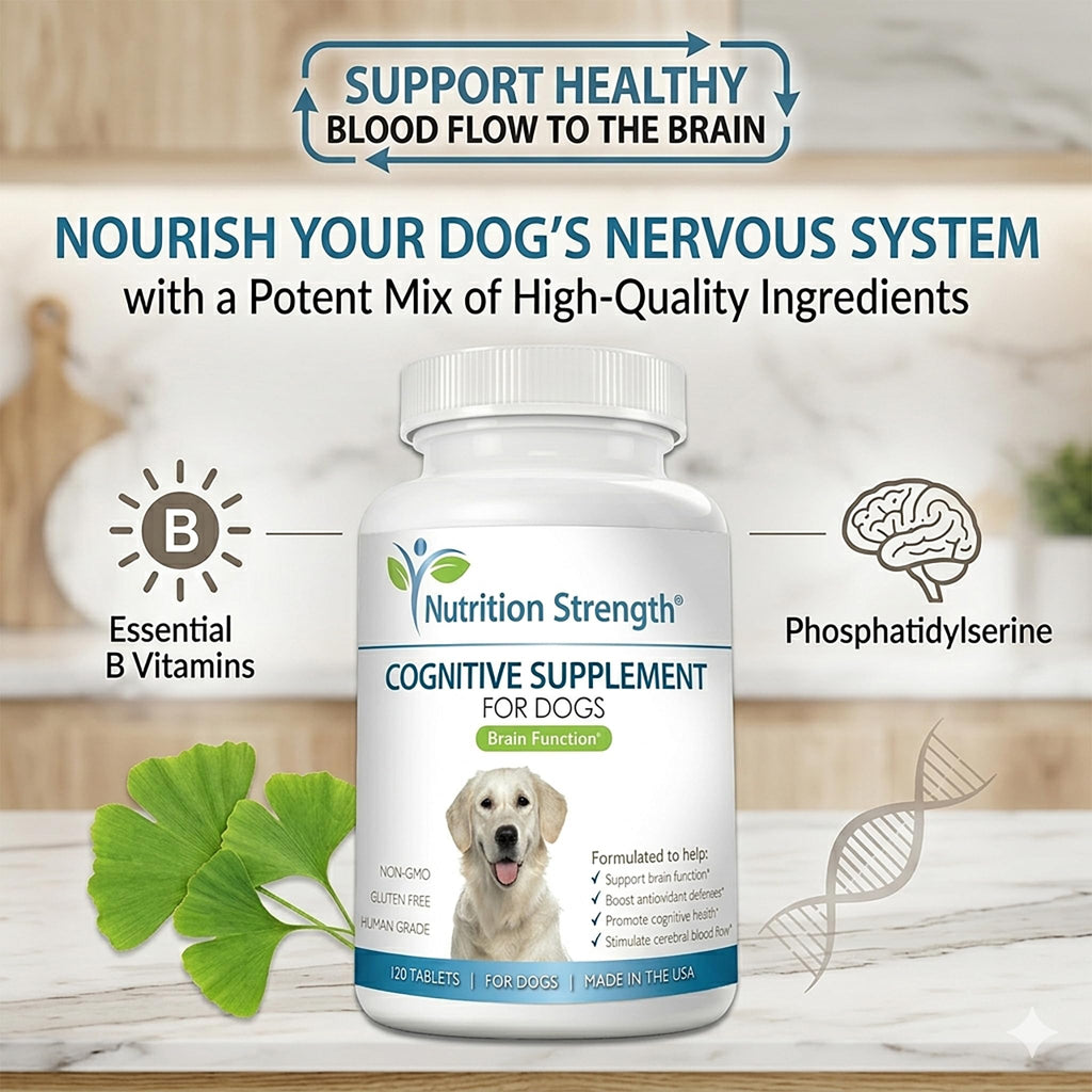 120 Chewable Tablets Cognitive Support Dog Supplement S626651