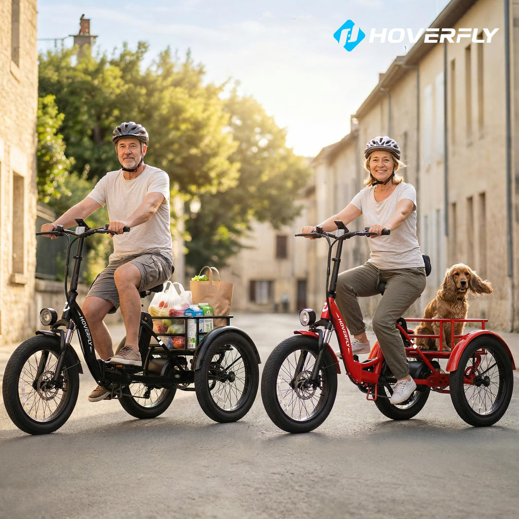 Electric Tricycle for Adults 750W Peak Motor 20"x3" Fat Tire Q3743