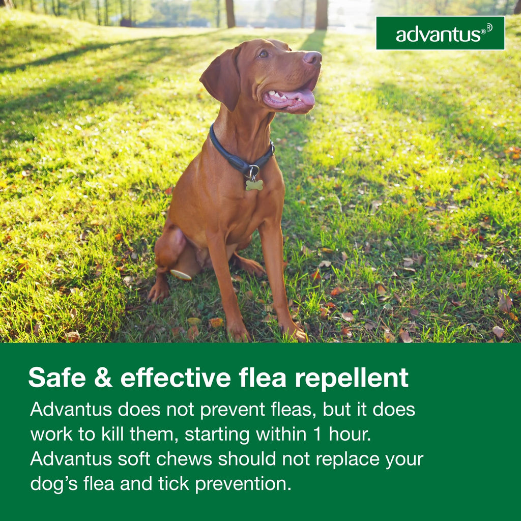 Soft Chew Flea Treatment for Dogs 23-110 lbs. 7 ct L2598