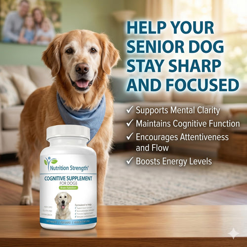 120 Chewable Tablets Cognitive Support Dog Supplement S626651
