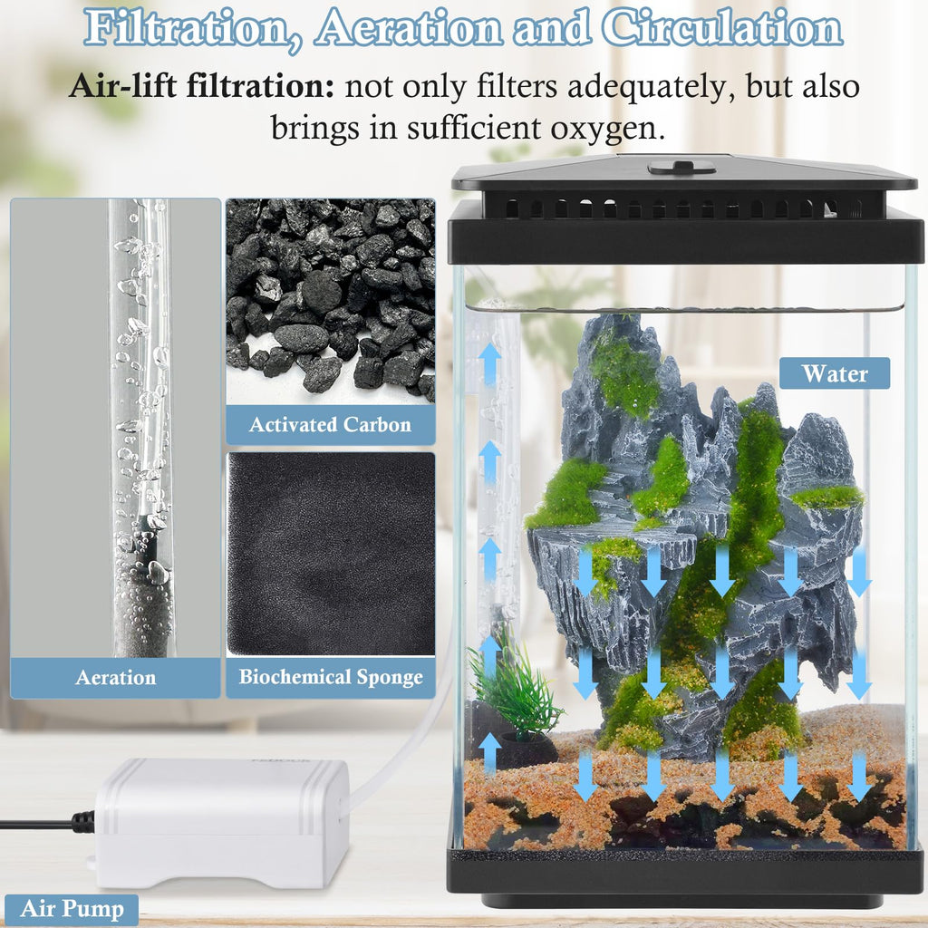 1 Gallon Small Glass Aquarium with Air Pump LED Light H2632