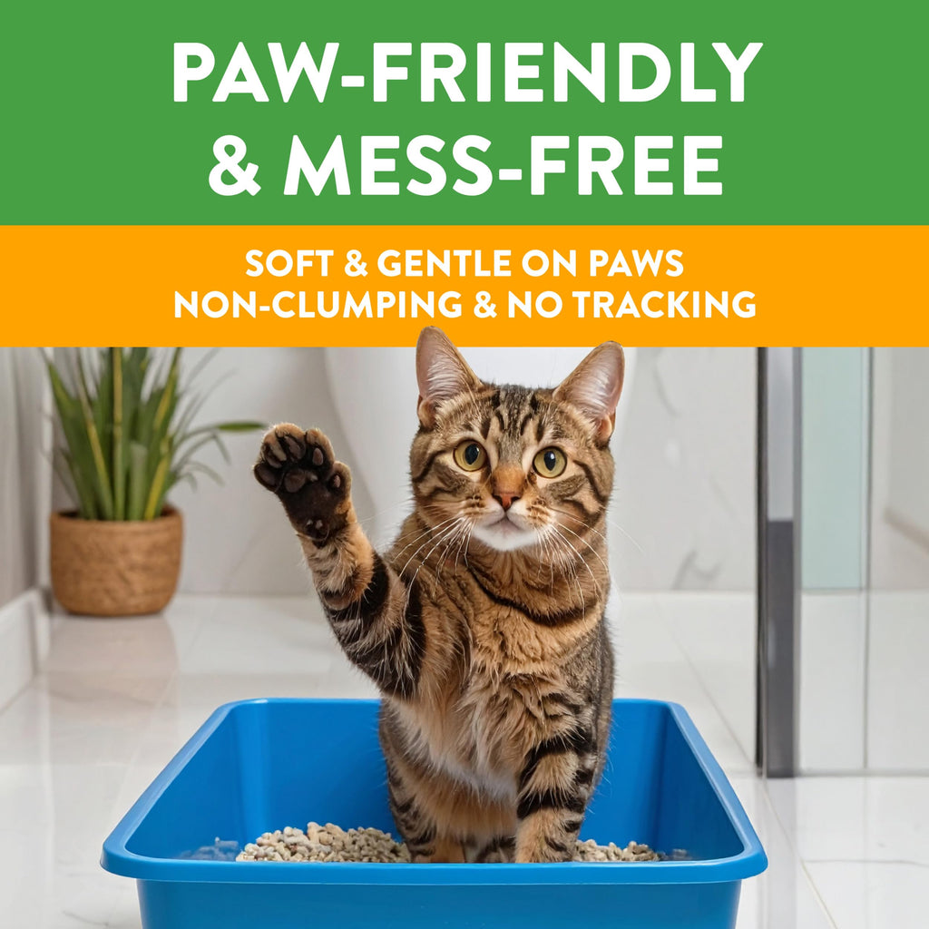 Non-Clumping Cat Litter 17lb W52764