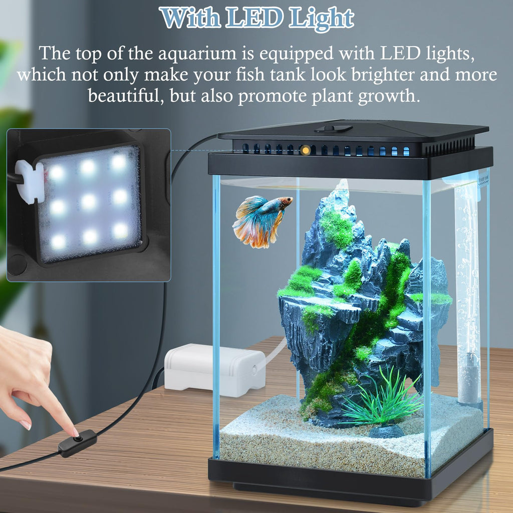 1 Gallon Small Glass Aquarium with Air Pump LED Light H2632