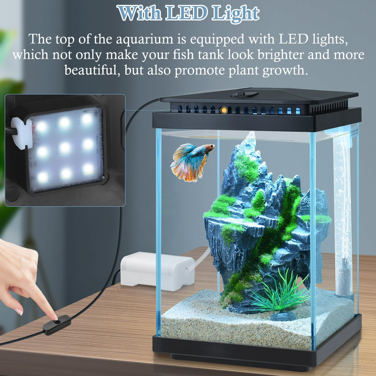 1 Gallon Small Glass Aquarium with Air Pump LED Light H2632